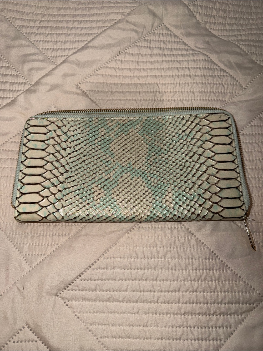 Brahmin Mint Green and Cream Embossed Python Zip Wallet - Picture 1 of 4